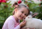 family pet