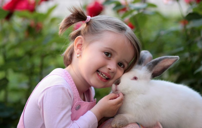 family pet