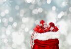 christmas, gifts, nature