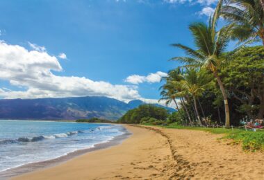 beach, landscape, hawaii