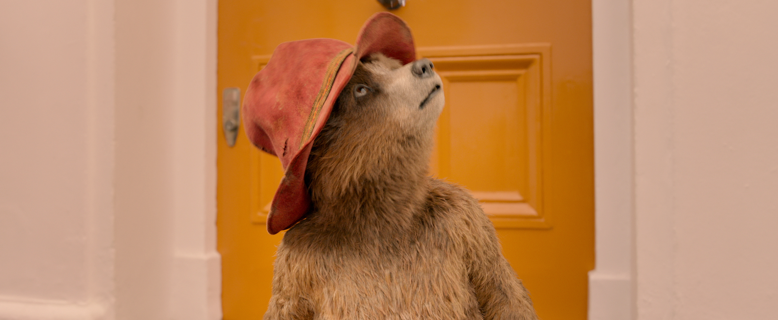 Karen Jankel on living with Paddington Bear
