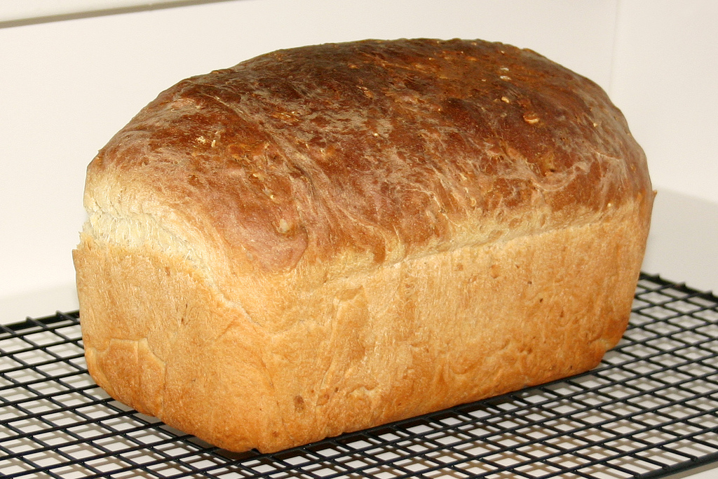Breadwinner poverty is a danger for families