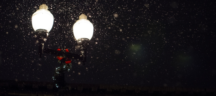 Top Things To Do in November