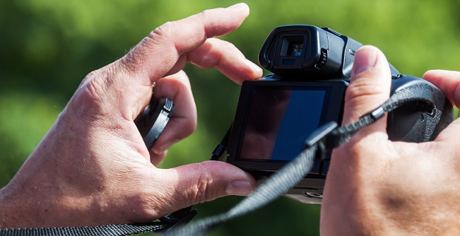 A Guide to DSLR Cameras
