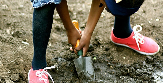 Inner city kids embrace crowdfunding to create urban oasis in south london’s concrete jungle
