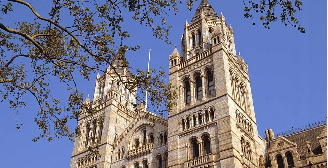 Family-Friendly Museums in London