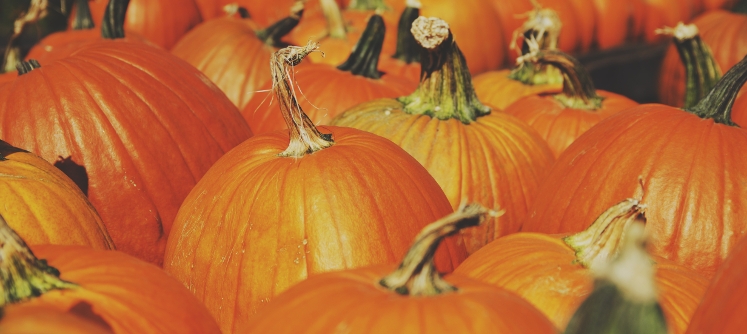 Halloween Traditions Around the World