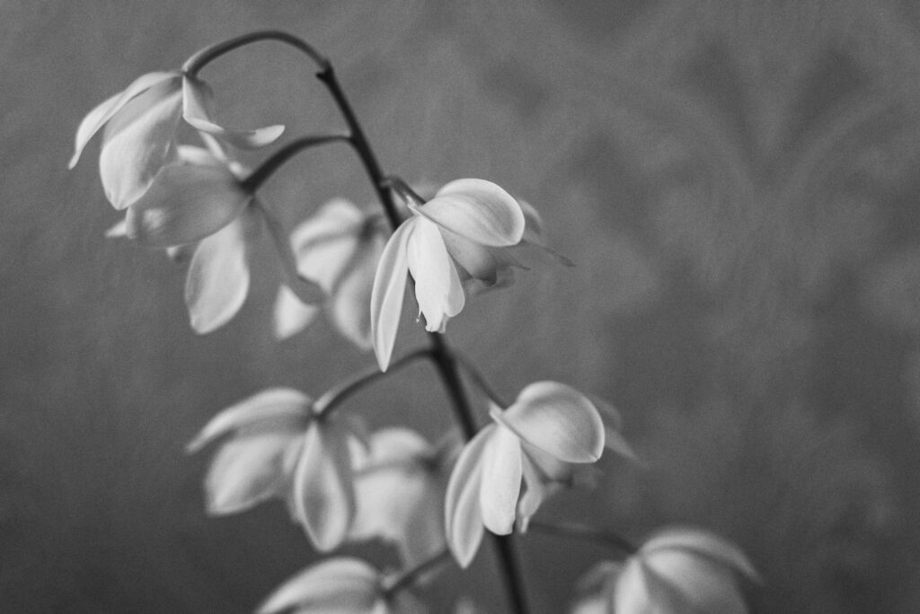 Supporting Bereaved Mums This Mother’s Day 