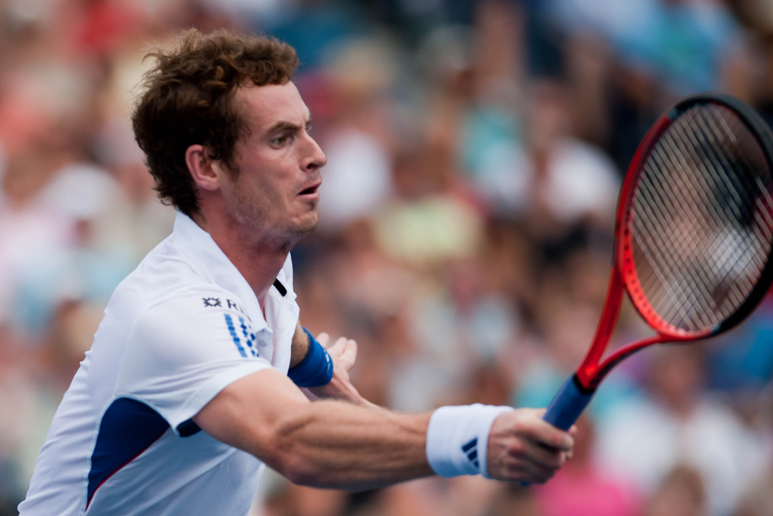 Murray-mania returns. Wimbledon funny moments…