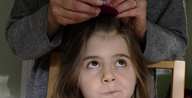 The Handy Head Lice Guide