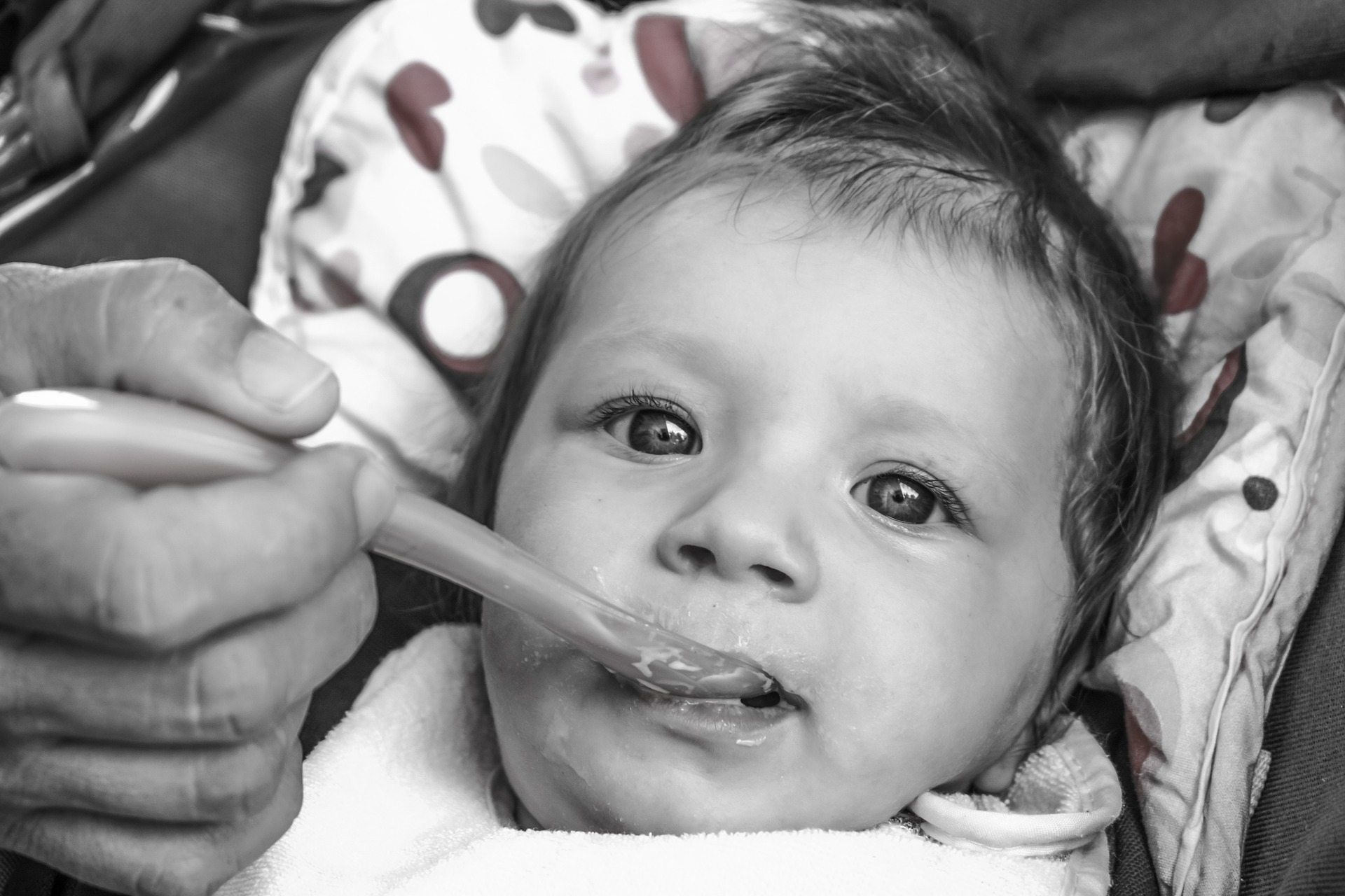Skip Hop launches new Infant Weaning range