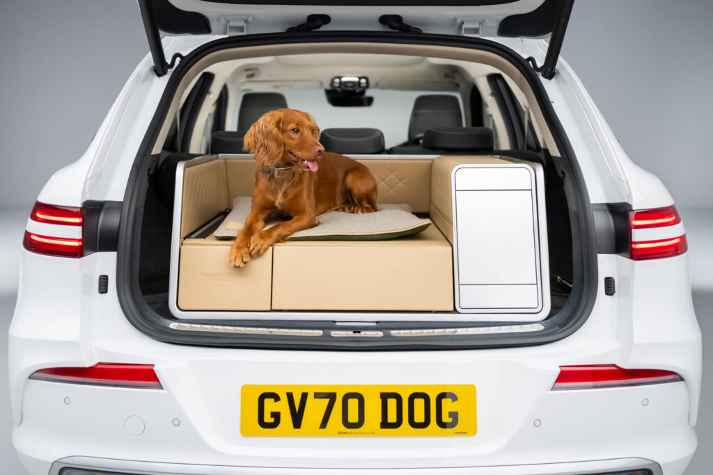 A Luxurious Ride for Dogs That Will Have Tails Wagging