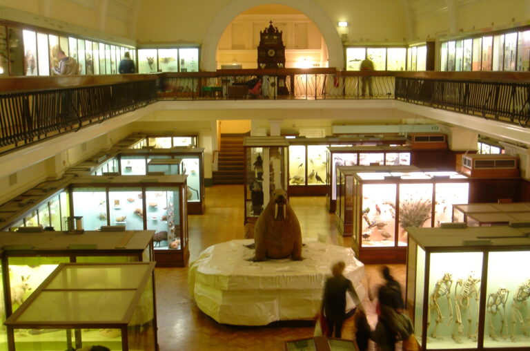 Unusual Museums: Fascinate Your Kids in London