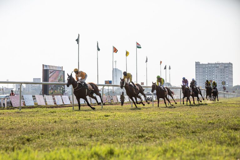 7 Tips for New Horse Racing Bettors