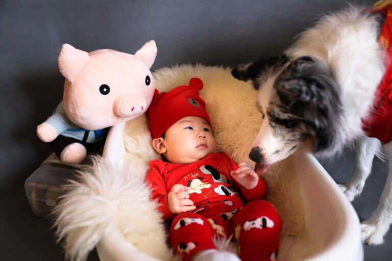 5 ways to introduce your baby to your “fur baby”