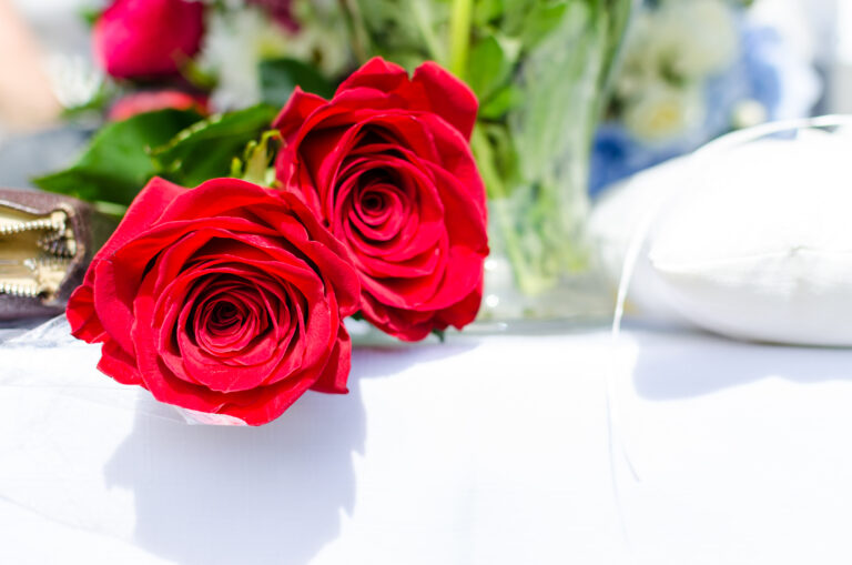She Doesn’t Need a Valentine, She Needs Valentino…