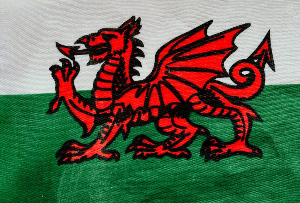 Red and black dragon logo