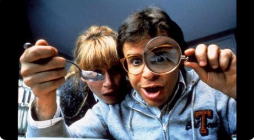 Honey I Shrunk the Kids