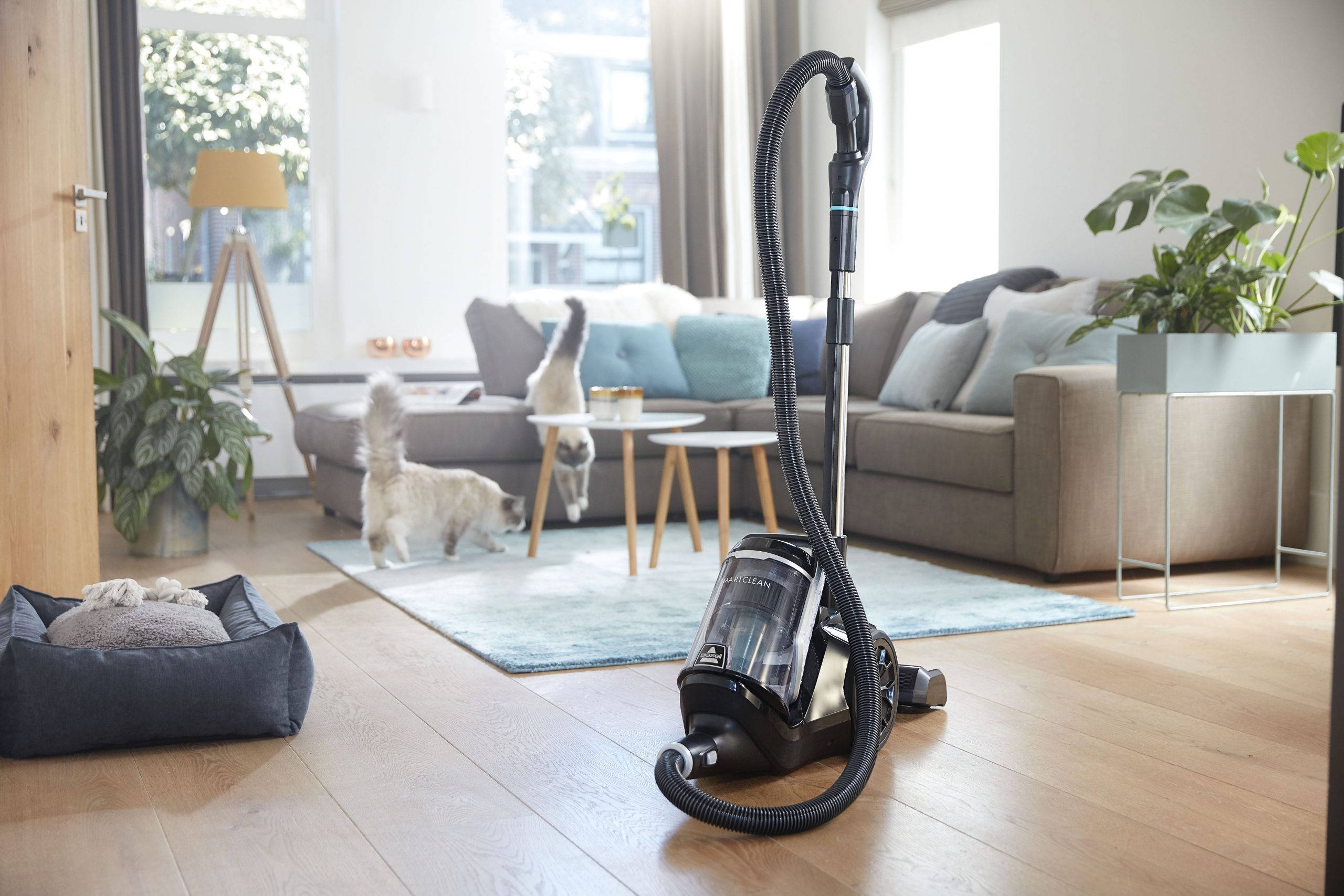 Bissell SpotClean Pro & Smart Clean Pet Cylinder  reviews