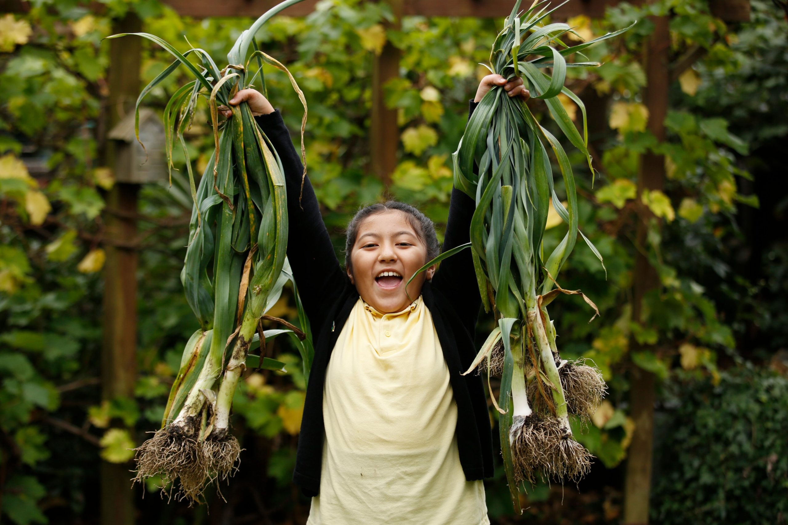 Little green fingers: turning kids into gardeners