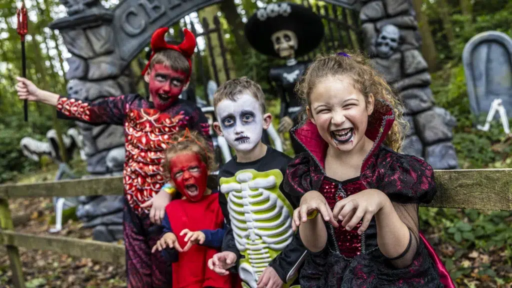 stockeld-park-halloween-2026